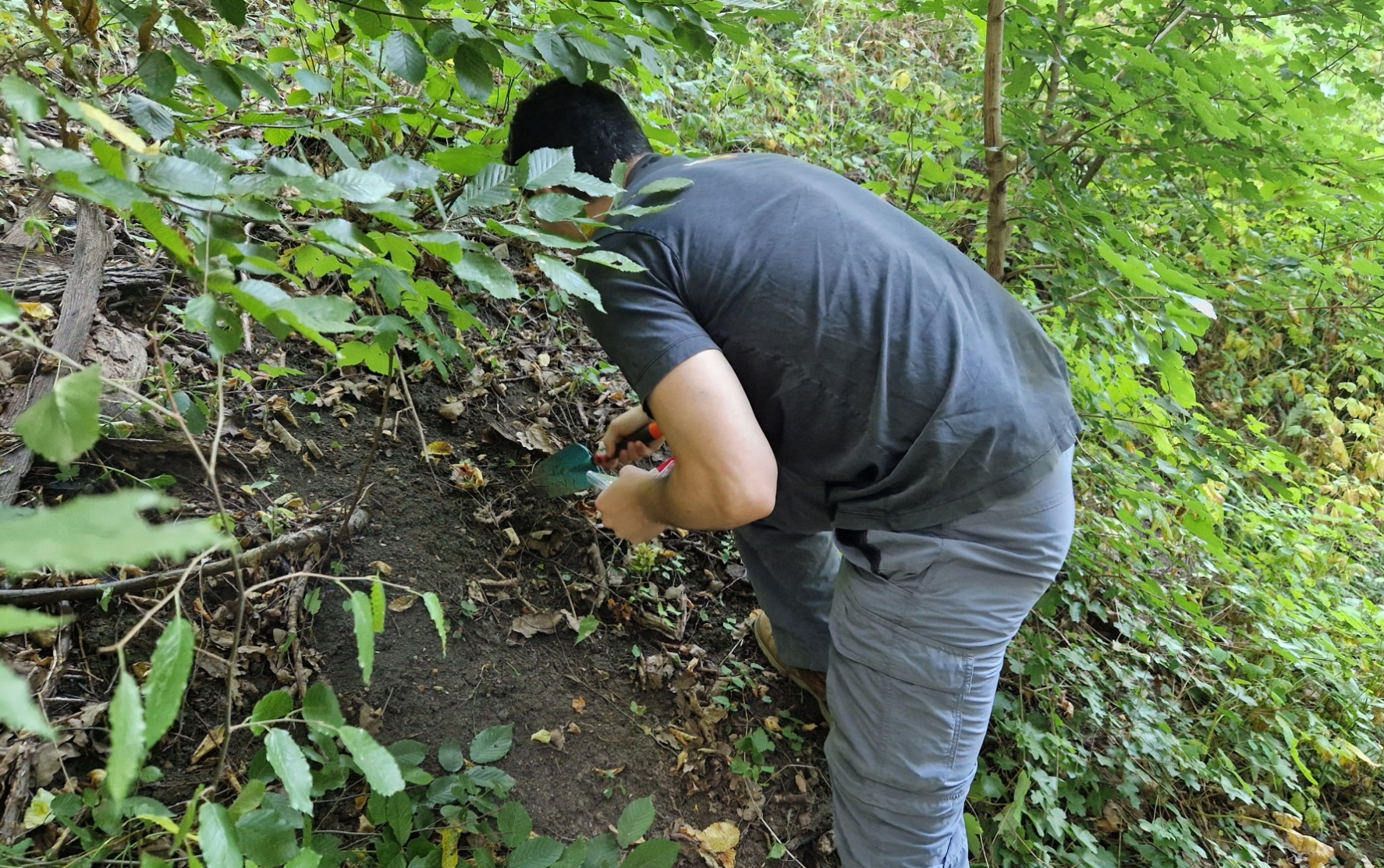 Soil sampling in the forest