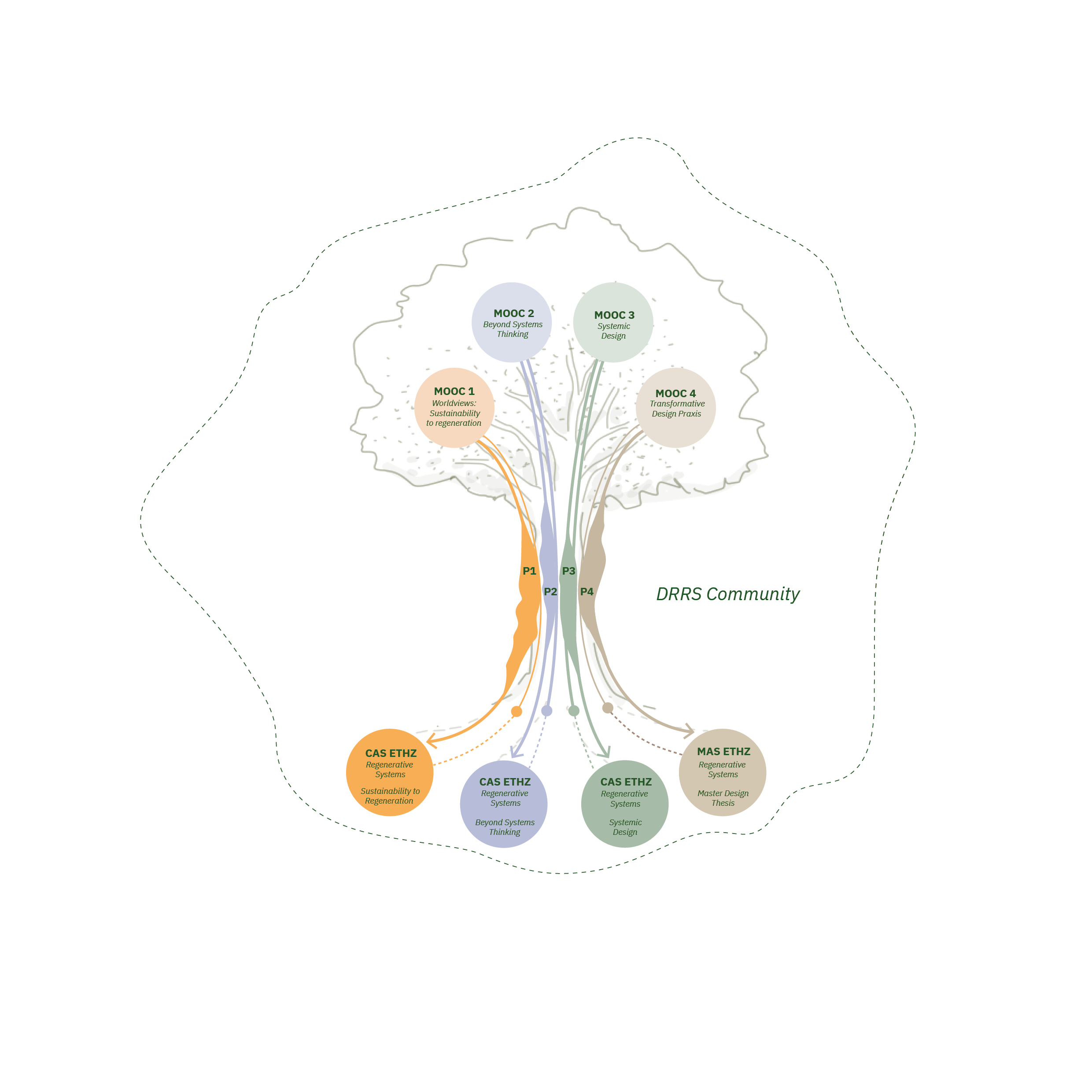 Structure of the DRRS program